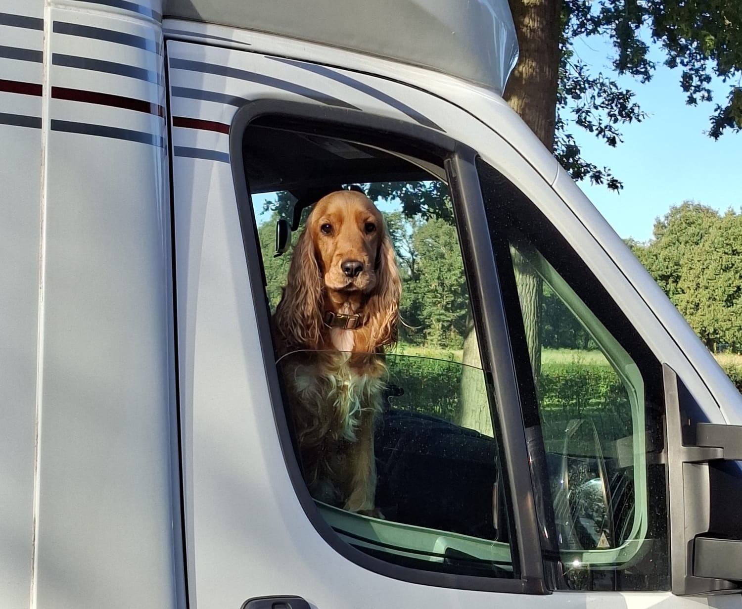 Het leven is een feestje – Teambaas Jack gaat zes weken op tour
