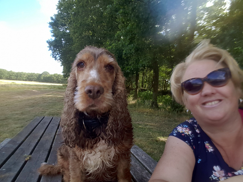 Hond Brownie viert Bevrijdingsdag